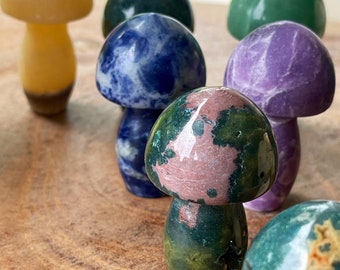 Crystal Mushroom, Rhodonite Mushroom, Ruby Zoisite Mushroom, Lapis Mushroom, Lepidolite Mushroom, Pink Ocean Jasper Mushroom