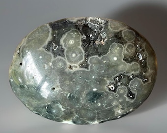 7th Vein Ocean Jasper Palmstone with Black Morion quartz, Orbicular Green Ocean Jasper, Collector’s Black Flower Jasper