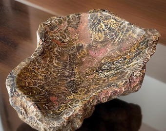 Fossilized Coral Bowl from Indonesia, Large Trinket plate, Crystal Dish for Jewelry, Natural Fossil for the Home Decor 1lb 11Oz