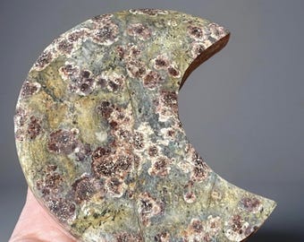 Green Cherry Blossom Jasper XL Cresent Moon Crystal Carving (4)