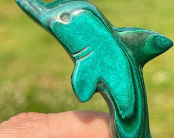 Malachite with Azurite Dolphin Carving, Crystal Dolphin, Azurite Carving