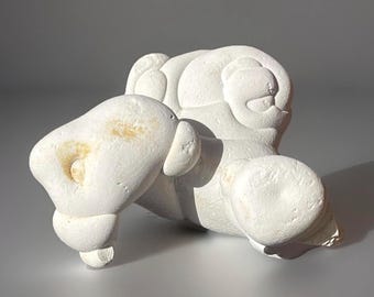 Moroccan Fairy Stone Chert Concretion Display Specimen