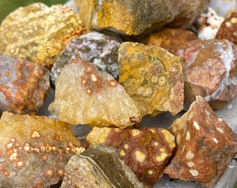 Shades of Orange & Yellow Ocean Jasper Raw Stones | Bubble OJ | Rough Crystal | Orbicular Jasper Crystal gifts | Unique Crystal Decor