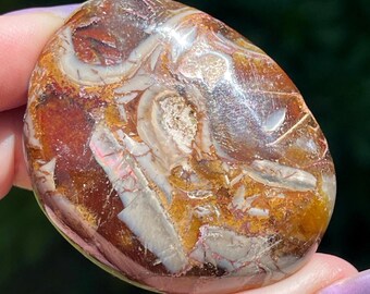 Ammonite Fossil Polished Palm Stone - Madagascar