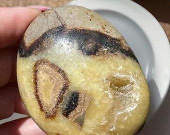 Septarian Dragon Stone Palmstone / Aragonite Calcite Polished Rock