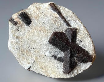 Staurolite twinned crystals embedded in a glittering Muscovite Mica Schist matrix - Kola Peninsula