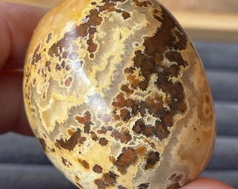 Ocean Jasper Chunky Egg, Polished Madagascar Jasper with Chocolate Orange Orbs & Creamy Yellow Flowers, Orbicular Madagascar Carving (259)