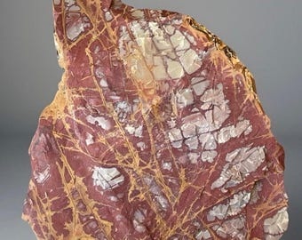 Noreena Jasper Rough Slab – Natural Unique Lapidary Chunk