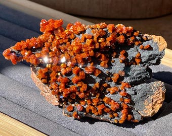 Vanadinite on Hematite Stunning Crystal Specimen