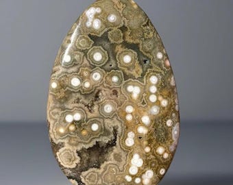 7th Vein Ocean Jasper Freeform Polished Flame • Green Quartz Madagascar Jasper Drop