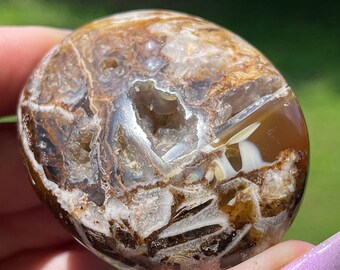 Chocolate Opal Palmstone - #70