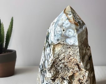 Orbicular Ocean Jasper with Natural Fossil Pocket - Rare Crystal with Fossilized Spirals & Tubes • Collector's Display Specimen