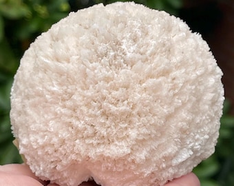 Gyrolite w/ Mordenite XL Mineral • Cabinet Display for Gifting & Collecting • Unique Home Decor • Natural Scolecite Specimen