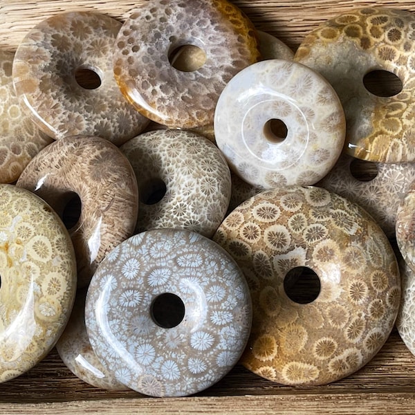 Coral Jade Fossil Donut | Fossilized coral carving | Crystal Donuts | Crystal Sphere Stand | Coral Pendants | Car Crystal
