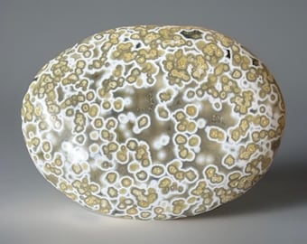 Orbicular Ocean Jasper Palmstone: Madagascar Bubble Crystal Pocket Rock (78)