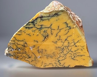 Dendritic Opal Specimen from Australia: Natural Half Polished Crystal (284)