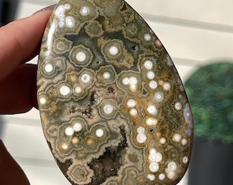 7th Vein Ocean Jasper Freeform Polished Flame • Green Quartz Madagascar Jasper Drop