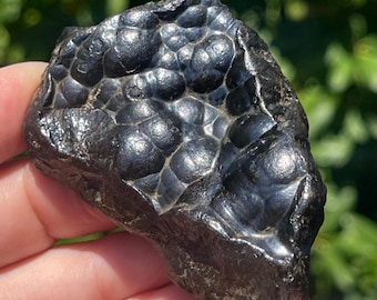BOTRYOIDAL HEMATITE Kidney Ore Mineral Specimen