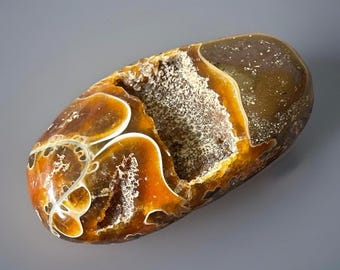 Ammonite Fossil Polished Palm Stone - Madagascar