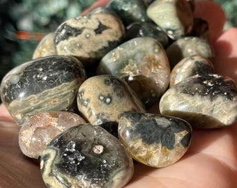 Orbicular Ocean Jasper Tumbled Stone - Olive Green Tones, Polished Pocket Cubic Rock, Bubble Jasper Crystal