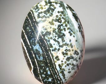 7th Vein Orbicular Ocean Jasper Palmstone: Madagascar Crystal Pocket Rock (240)