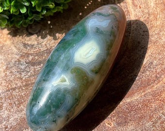 Scenic Moss Agate Large Shiva  - #60