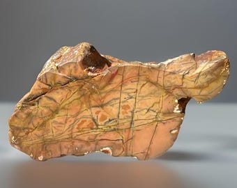 Yellow Feather Jasper Slab from Utah – Front Polished Collector Crystal, Natural Large Jasper Specimen