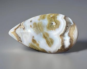 Orbicular Ocean Jasper Flat Back - Cabochon Gemstone Mini Palm (208)