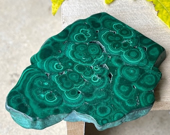 Malachite polished slab with beautiful flower patterns