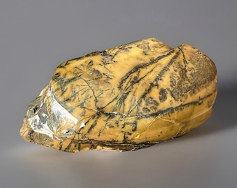 Yellow Feather Jasper Freeform from Utah – Front Polished Collector Crystal, Natural Jasper Specimen