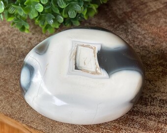 Orca Agate PalmStone - #80