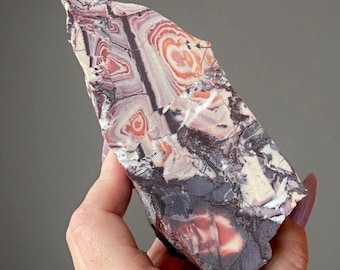 Porcelain Jasper XL Slab Specimen • Rare Sonora Mexico Jasper • Painterly Patterns • Lapidary Material • Collector Grade Exotica Jasper