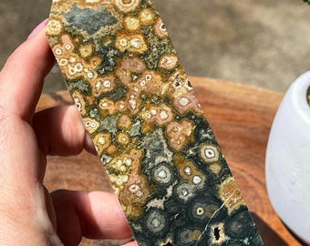 Ocean Jasper Tower - Natural Orbicular Pattern Point - Madagascar Crystal Obelisk - Unique Mineral Specimen Gift