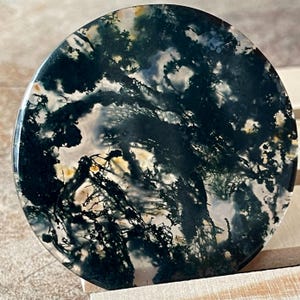 Moss Agate Cookie Flat: Translucent Scenic Crystal Disk, Polished Gemstone Pocket Round Stone (458)