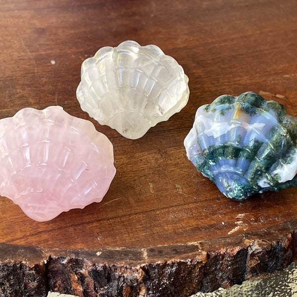 Crystal Seashell Large Carving , Blue Moss Agate shell , Rose Quartz shell