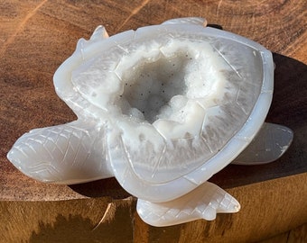 Sugar Druzy Agate XL Carved Sea Turtle