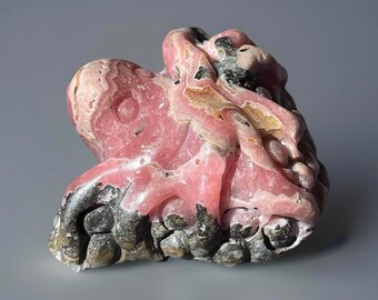 Rhodochrosite Pink & Black Octopus - Natural Rare Crystal Sea Creature Sculpture