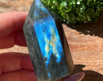 Labradorite Blue Flash Point - #92