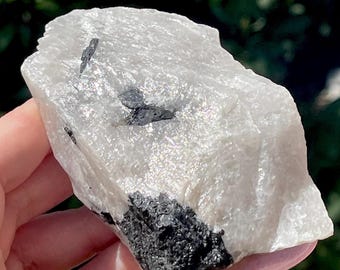 Black Tourmaline in Quartz Rough Raw Crystal, Natural Black & White Crystal