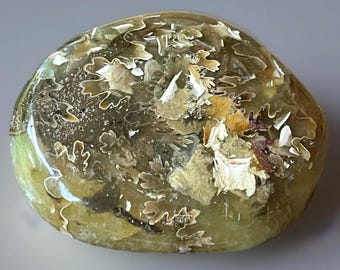 Ammonite Fossil Polished Palmstone - Madagascar