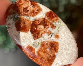 GARNET in WOLLASTONITE Small Palm Flat back Cabochon Polished Freeform - Namibia - You Pick
