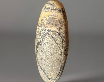 Dendritic Picture Jasper XLarge Shiva - #70