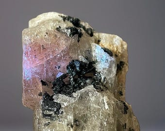 Spodumene from Massachusetts • Older Collectors Material • Huge Rare Specimen US Mine 1247.38 ctw UV Fluorescent