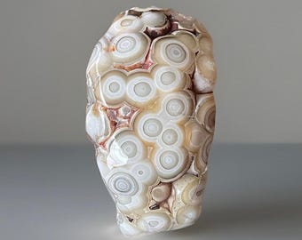 Orbicular Mexican Crazy Lace Agate Freeform with Chatnoyancy, Natural Agate Polished Specimen, White & Cream HQ Mexican agate