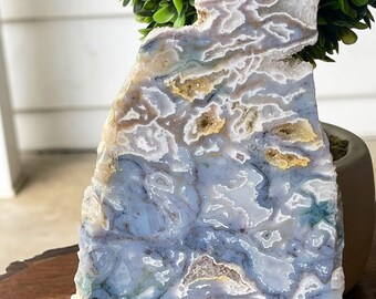 Moss Agate Xl Druzy Slab , Blue Moss Agate Slab , Purple Moss Agate Druzy , Large Moss Agate , Druzy Agate Slice , Gold Druzy Agate
