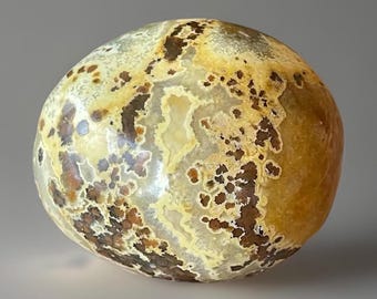 Ocean Jasper Chunky Egg, Polished Madagascar Jasper with Chocolate Orange Orbs & Creamy Yellow Flowers, Orbicular Madagascar Carving (259)