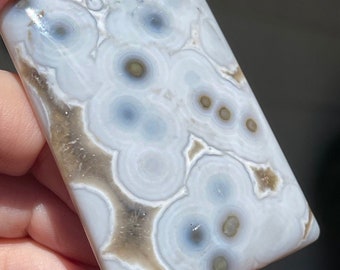 8th Vein Ocean Jasper Slab Stone Slice, Madagascar Orbicular Ocean Jasper Unique pocket stone - #20