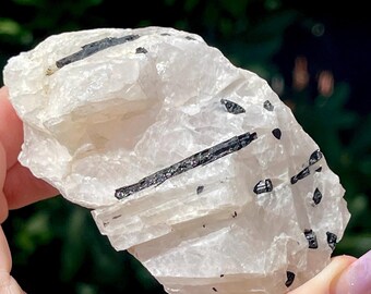 Black Tourmaline in Quartz Rough Raw Crystal, Natural Black & White Crystal
