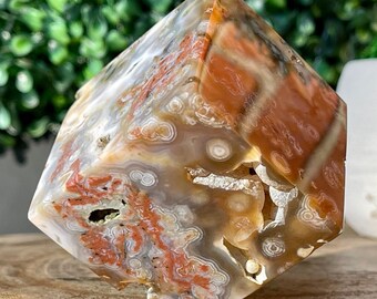 8th Vein Ocean Jasper Floating Crystal CUBE, Natural Jasper with Bubbles & Quartz, Jelly Ocean Orbicular Jasper, Druzy Madagascar Jasper