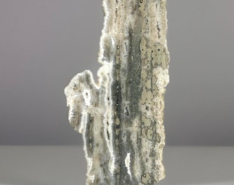 Ocean Jasper Statement SLAB: Madagascar Orbicular Ocean Jasper Old Stock 9.25 inches - (341)